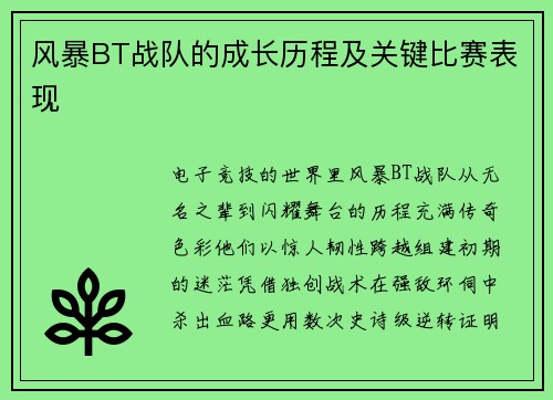 风暴BT战队的成长历程及关键比赛表现